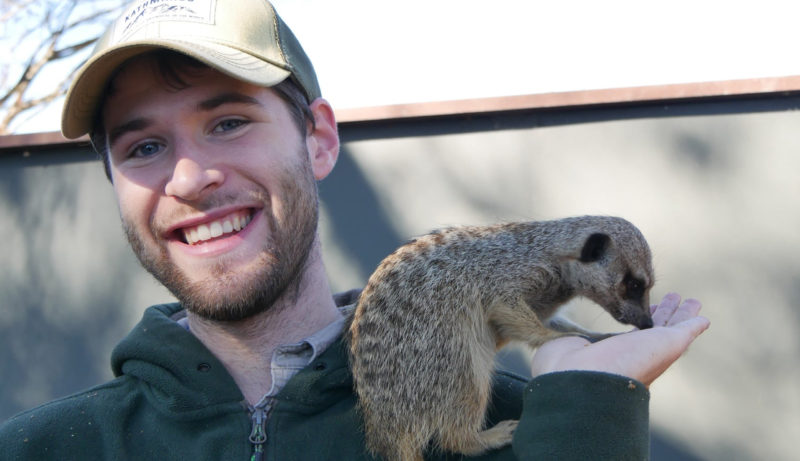 Meerkat Encounters