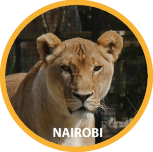 Nairobi