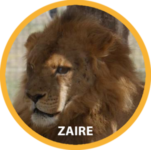 Zaire